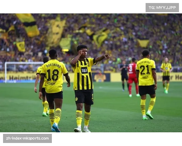 德甲拟推季后赛制度引热议球迷观点分化传统与创新之争再度升温